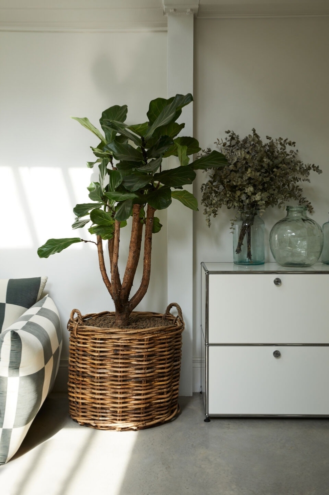 Buchanan Studio – North London Townhouse 17