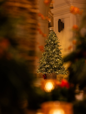 Rome – Anatara Christmas Tree