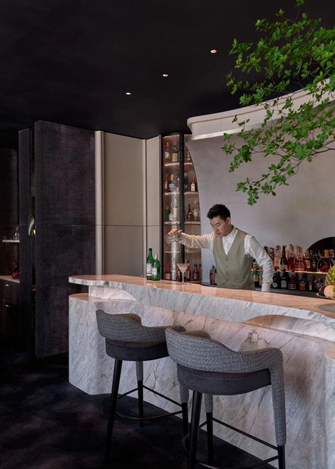 Chris Shao Studio – Black Swan_46